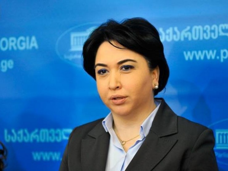 Gürcüstanda yeni siyasi partiya yaradıldı