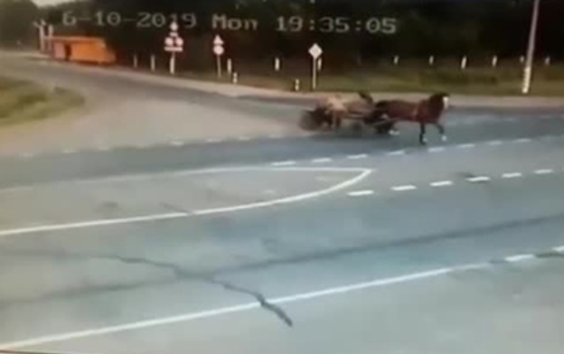 Rusiyada avtomobil at arabasına çırpıldı, 2 nəfər öldü – VİDEO