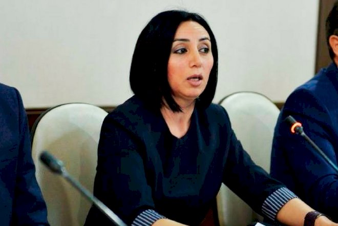 “Akademiya rəhbərliyi korrupsiyaya batıb” – Alimdən sensasion ittihamlar