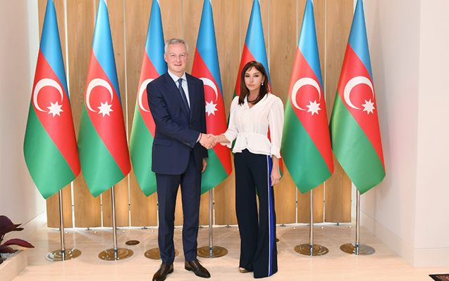 Mehriban Əliyeva fransalı nazirlə görüşdü