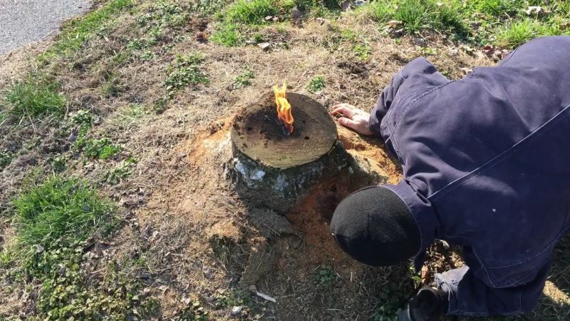 Xətaidə ağaclar belə məhv edilir — FOTOFAKT