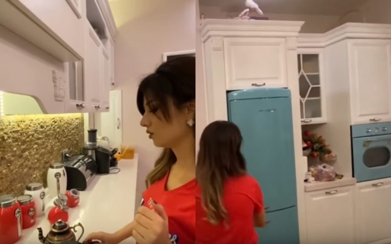 Zaurla Günayın dəbdəbəli villasının FOTOLARI
