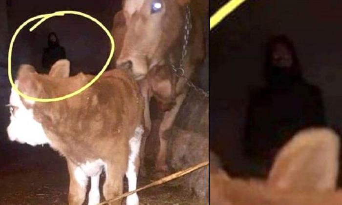 Bu görüntülər Türkiyəni qarışdırdı – Fotoda əks olunan nədir?