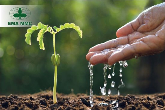 EMA MMC–nin direktoru Əbdülhüseyn Abdullayev ƏSLİNDƏ KİMDİR EMA MMC–nin direktoru Əbdülhüseyn Abdullayev ƏSLİNDƏ KİMDİR