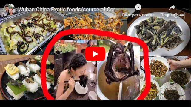 Koronavirusun yayıldığı bazardan dəhşətli görüntülər – FOTOLAR+VİDEO