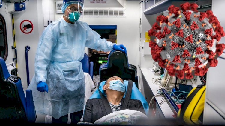 Koronavirus insanın ağciyərlərini bu hala salır – Foto yayıldı