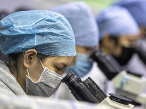 Koronavirus hansı temperaturda ölür?