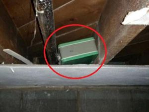 Aldığı evin çardağından çanta tapdı – İçinə baxanda GÖRDÜKLƏRİNƏ İNANMADI (FOTO/VİDEO)