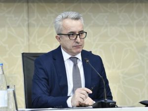 İbrahim Məmmədov: “Genişmiqyaslı epidemiya olsa, bunun altından çıxa bilməyəcəyik”