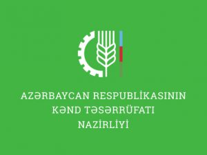 Əkəndə yox, biçəndə yox, YEYƏNDƏ ortaq qardaş… – Kənd təsərrüfatında şəffaflıq yarada bilmişikmi?