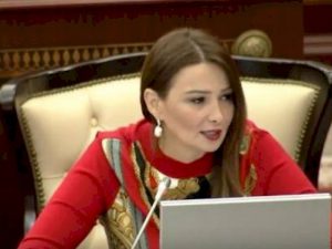 Qənirə Paşayeva Milli Məclisin komitə sədri seçildi