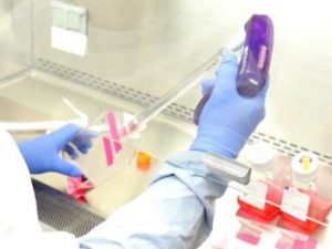 Koronavirus testindən hamı keçə bilər? – “Nümunə götürülən insan…” – ŞƏRTLƏR AÇIQLANDI