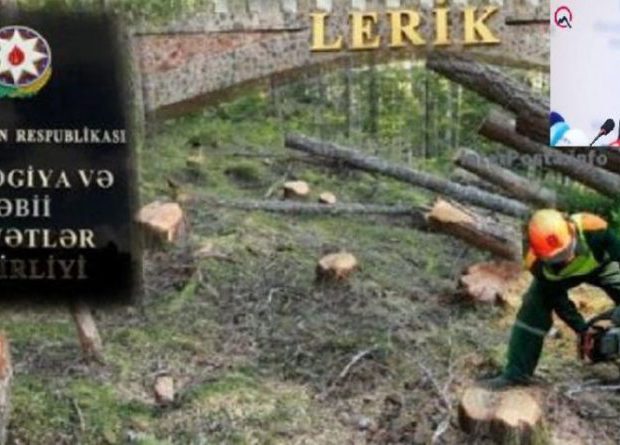 Lerikdə yaşıllığın məhv edilməsini əks etdirən VİDEO Lerikdə yaşıllığın məhv edilməsini əks etdirən VİDEO