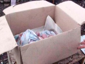 Küçədən iki günlük körpə tapıldı – Bakıda dəhşət -FOTO