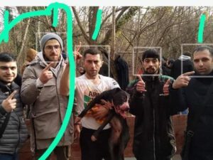 Azərbaycanda itlərə narkotik vurub, ölümcül döyüşə buraxırlar? – FOTO/VİDEO