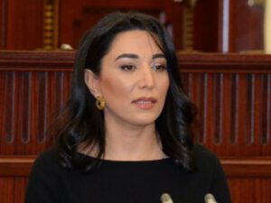 Ombudsman sərhəddəki gərginliklə bağlı bəyanat verdi