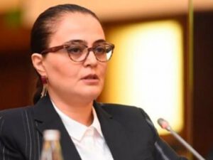 “Media sahəsində böyük dəyişikliklər olacaq” – Səadət Yusifova – Video