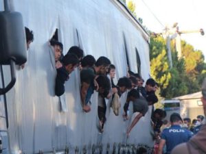 TIR-da yoxlama zamanı polis gözlərinə inanmadı – FOTO