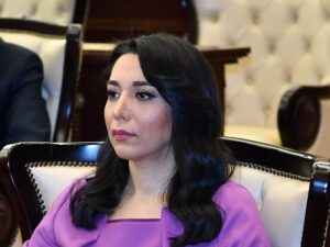 Azərbaycanın Ombudsmanı fəaliyyətini dondurdu