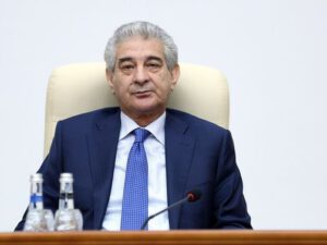 Əli Əhmədov: “Heç kimə ayrıca səlahiyyətlər, üstünlüklər, imtiyazlar verilməyib, verilə bilməz!”