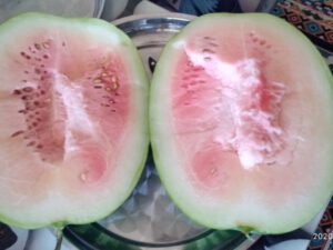 “”Araz” supermarketdə hər zaman keyfiyyətsiz malların endirimdə olur” – Müştəri narazılığı – FOTOLAR