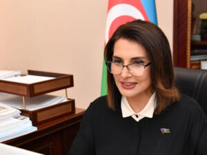 “Sosial şəbəkələrlə bağlı təklifi mən irəli sürməmişəm” – Deputat Jalə Əliyeva təkzib etdi