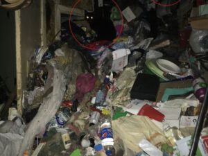Yoxa çıxan qadını tapmaq üçün evinə gəldilər, qarşılaşdıqları mənzərədən şoka düşdülər – FOTO