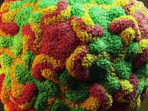 ŞOK: yeni qorxunc virus sürətlə yayılır – XEYLİ ŞƏXSƏ YOLUXDU