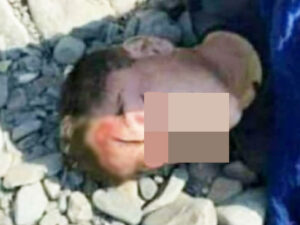 “Uşağımı ayı öldürsəydi, üzü dağılardı” – Foto