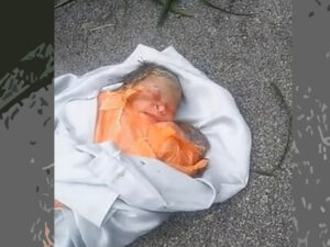 Küçənin ortasında kürəyinə paslı bıçaq saplanmış körpə tapıldı – FOTO