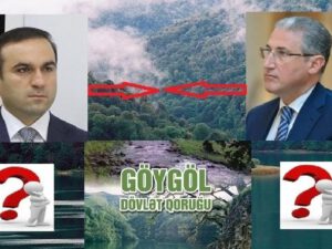 Göygöl meşəliyində donuzçuluq təsərrüfatı yaradılıb