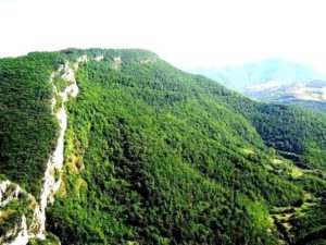 Ermənilər qəsdən Şuşa meşələrini yandırır – RƏSMİ