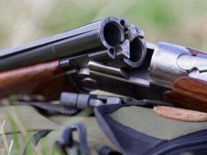 Azərbaycanda vəhşi heyvan və quş növlərinin ovu dayandırıldı