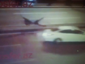 Sərxoş sürücü piyadanı vurdu, sonra evinə apardı – ŞOK HADİSƏ