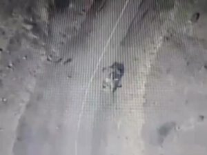 Laçın-Şuşa yolunda “Harop” hücum edən düşməni BELƏ YANDIRDI – ANBAAN VİDEO