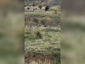 Ağdamı tərk etmək istəməyən erməni əsgərlərinə xəbərdarlıq: “Sizin ölümünüz heç nəyi dəyişməyəcək” – VİDEO