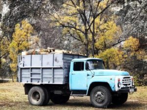 “Tələsik yol kənarlarındakı ağacları da kəsib maşınlara yükləyirlər…” – Rusiyali jurnalist