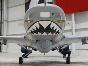 Fransa nəşri türk PUA-larından yazdı: Qarabağda onları dayandırmaq mümkün deyildi