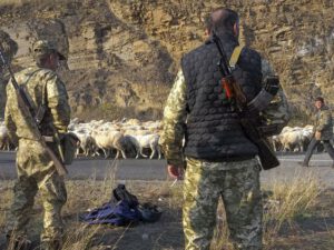 “Pulunuz yoxdursa, Zəngəzuru verin” – Mixaylov ermənilərə SƏSLƏNDİ