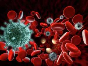 Pandemiya zamanı virusa qarşı ən güclü immunitet açıqlandı