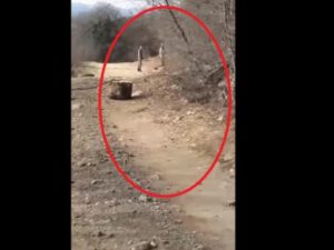 Azərbaycan və erməni hərbçiləri meşədə üz-üzə gəldi – Görün nə oldu (VİDEO)