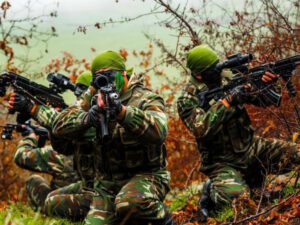 Vətən müharibəsində fərqlənən hərbçilər bu medallarla da təltif olunacaqlar – SİYAHI