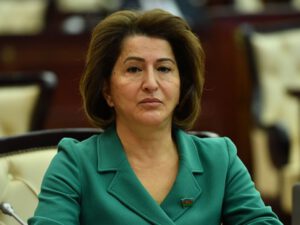 Cənab Prezidentin çıxışının hər cümləsi ATƏT-in Minsk qrupunun həmsədrlərinə ittiham idi