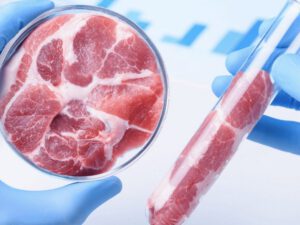 Dünyada ilk dəfə süni ətin satışına icazə verildi