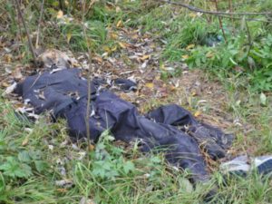 DƏHŞƏTLİ QƏTL: Gənc oğlanın boğazını kəsib həyətinə atdılar