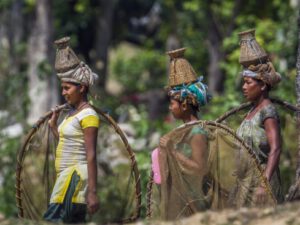 Dünya xalqlarının ən qəribə seksual ənənələri