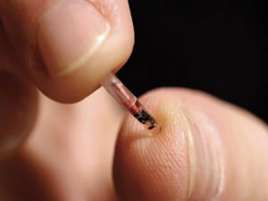 Qeytsdən ÇİP AÇIQLAMASI: “Bu, elmi fantastikadır”