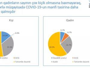 BMT STM-lə birgə layihə icra etdi