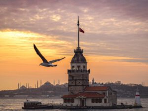 DİN də Türkiyəyə səfərdə istifadə ediləcək sənəd haqda məlumat yaydı