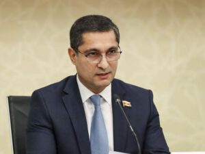 “Məhdudiyyətlərin tətbiqi heç bir halda dövlətin marağında deyil və ola da bilməz” – Soltan Məmmədov